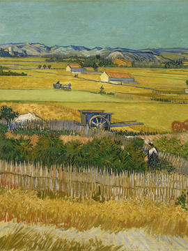 Harvest At La Crau with Montmajour in the Background - Vincent van Gogh