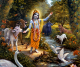 Indian Art - Krishna Painting - Krishna With The Animals Of Vrindavan On The Bank Of The Yamuna River