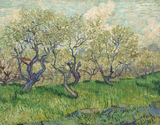 Orchard In Blossom At Arles - Vincent Van Gogh Painting