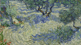 Olive Trees - Vincent Van Gogh
