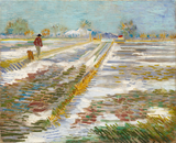 Landscape With Snow