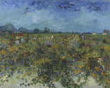 The Green Vineyard, 1888