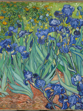 Irises - Vincent van Gogh
