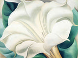 Georgia O Keeffe - White Flower