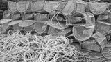 Fishing Net - Art Print
