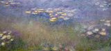 Saint Louis Water Lilies - Claude Monet