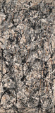 Cathedral - Jackson Pollock