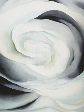 Georgia O Keefee -  Abstraction White Rose