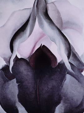 Georgia O Keeffe - Black Iris