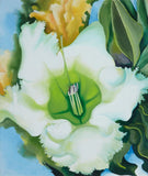 Georgia O Keeffe - Cup of Silver Ginger
