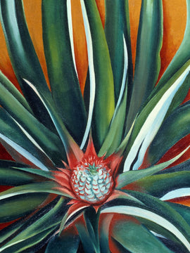 Georgia O Keeffe - Pineapple Bud