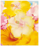 Georgia O Keeffe - Yellow Hibiscus