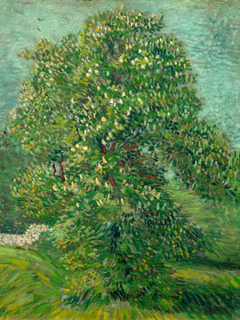 Horse Chestnut Tree In Blossom (Bloeiende Paardenkastanje) - Vincent Van Gogh
