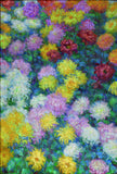Private Monet Chrysanthemums - Claude Monet