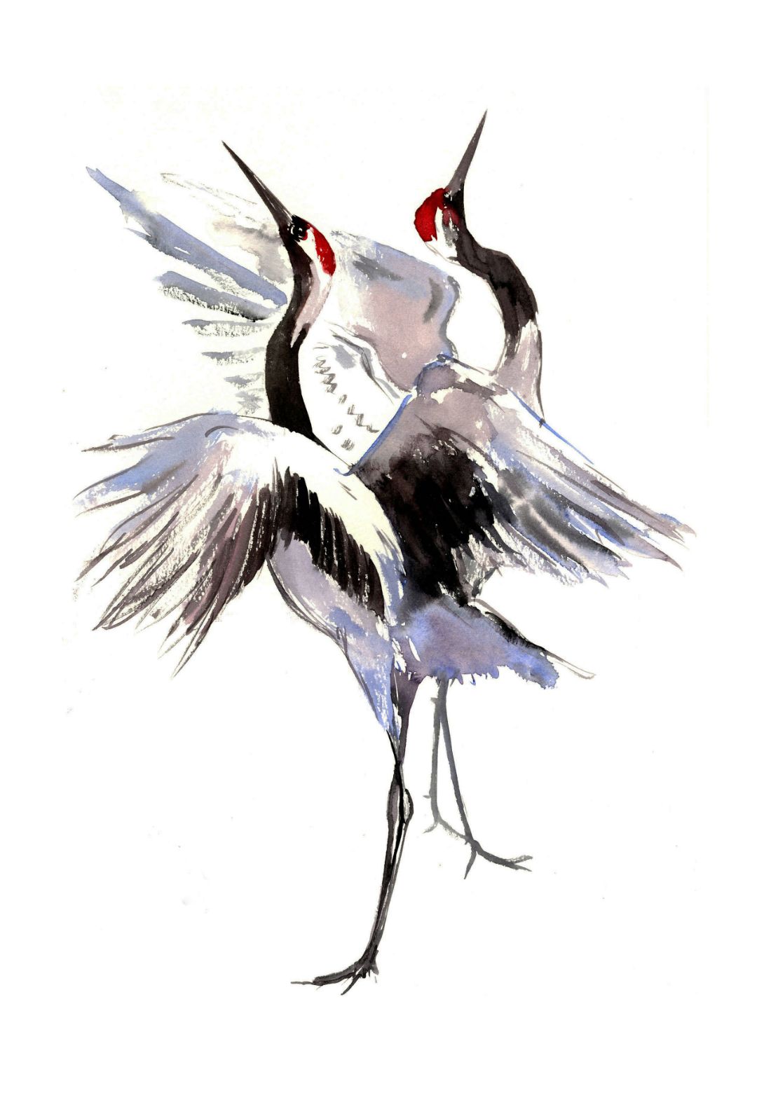 Red Crowned Twin Cranes - Symbol Of Love And Loyalty - Japanese Watercolor Painting