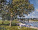 Claude Monet - Un Noyer Dans La Prairie De Thomery