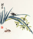 Qi Baishi (Beijing) - Insects
