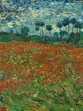 Poppy Field - Vincent van Gogh