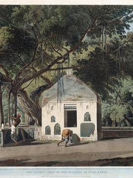 The Sacred Tree Of The Hindoos At Gyah, Bahar - Coloured Aquatint - Thomas Daniell  - 1790 Vintage Orientalist Paintings Of India