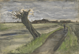 Pollard Willow - Vincent Van Gogh