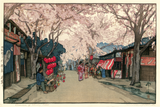 Avenue of Cherry Trees, from Eight Scenes of Cherry Blossoms - Hanazakari - Yoshida Hiroshi