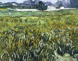 Wheat Field at Auvers with White House
