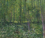 Trees and Undergrowth - Vincent van Gogh
